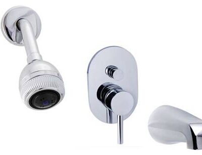 pressure balanced control with multi function shower head